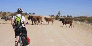 Namibia unverfälscht  und hautnah