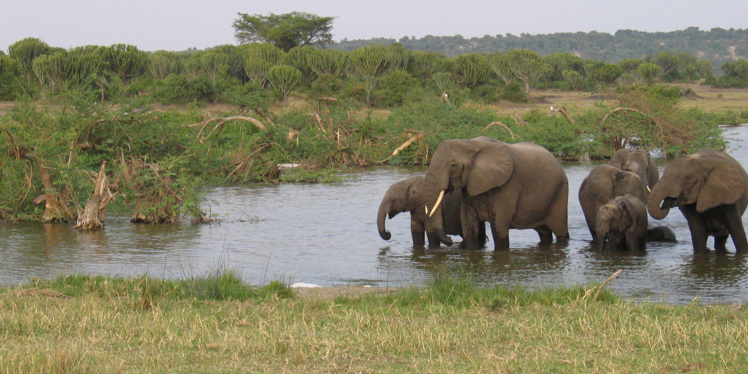 Afrika Aktivreisen