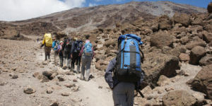 Kilimanjaro MTB & Trekkiing