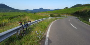 Per Rennrad durch die Pfalz