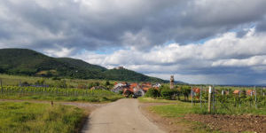 Radreise Sterntour Pfalz