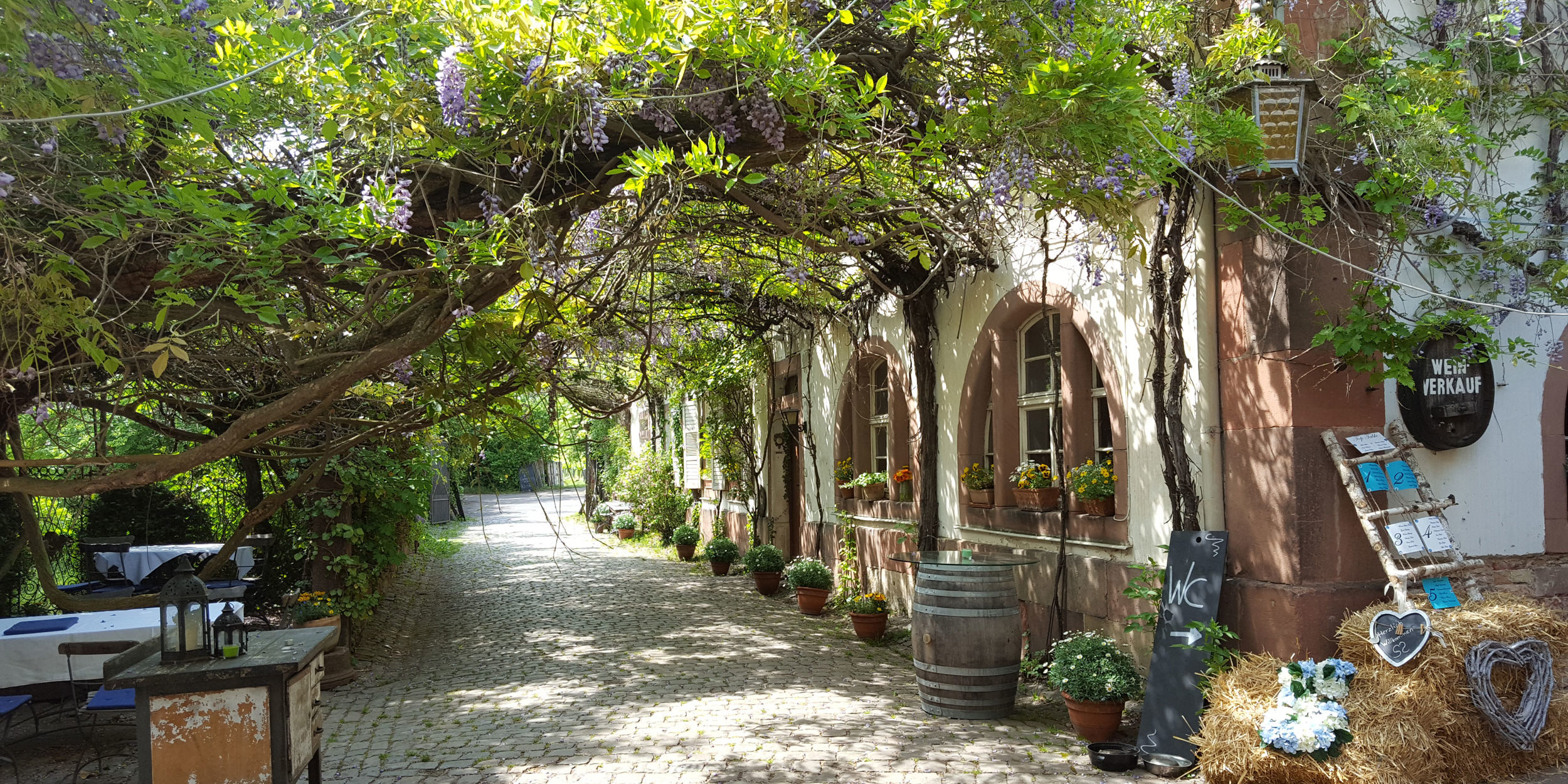 Radreisen in Deutschland - Rhein & Pfalz