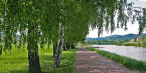 Elbe-Radweg-Klassiker ab Bad Schandau