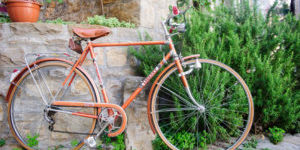 News 210516 bike-touring.de - Radreisen Istrien