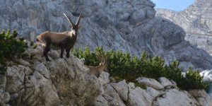 Mountainbike-Reise Dolomiten