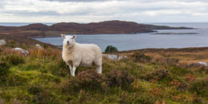 Rad & Schiff Reise Schottland