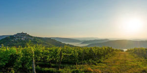 Radreise Weinregion Istrien