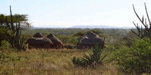 Radreise Südafrika & Eswatini