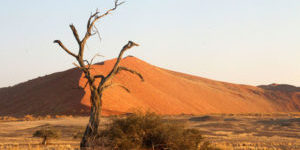 Radreise Namibia
