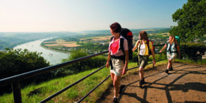 Wanderreisen Rheinsteig