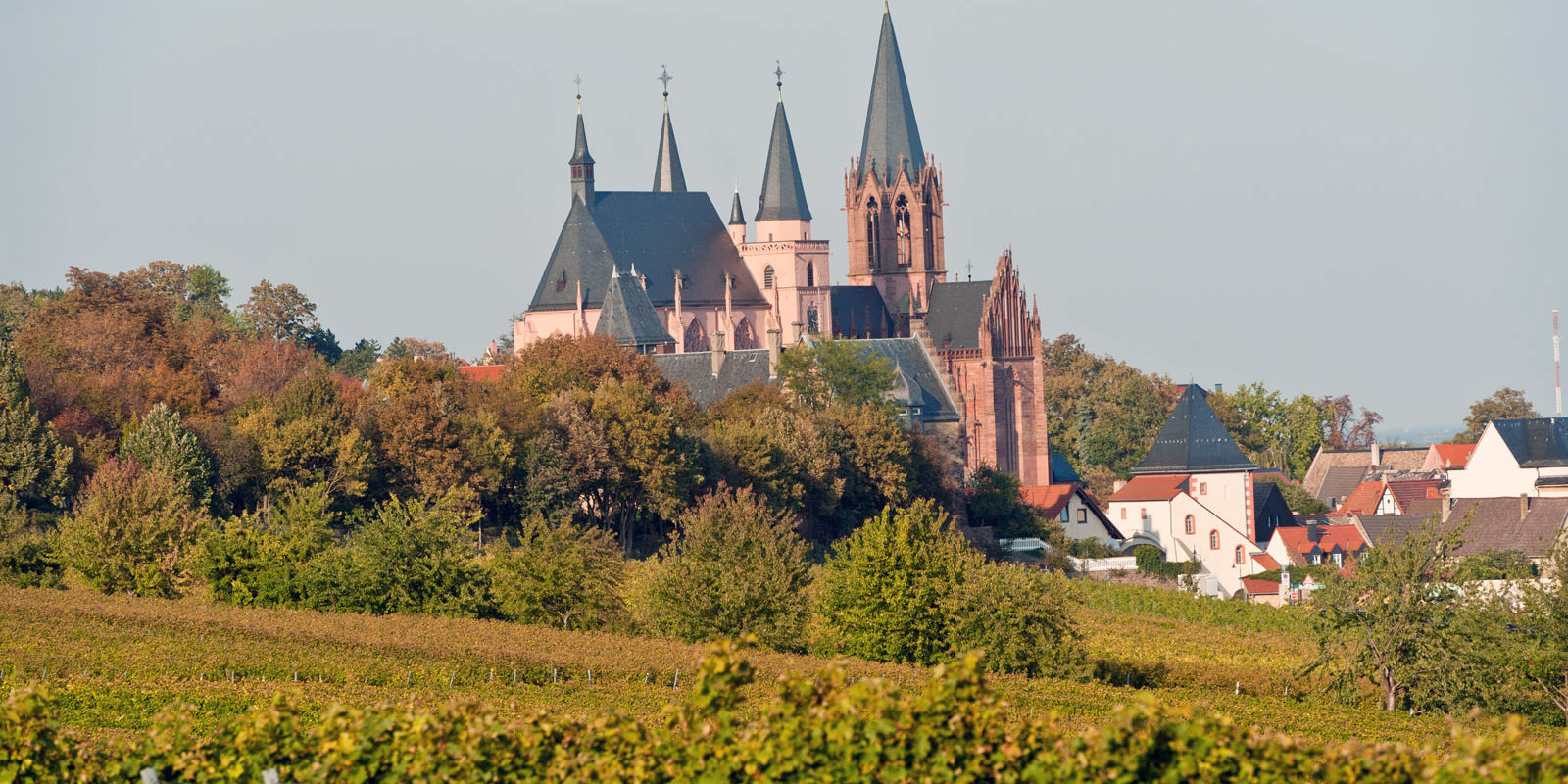 Herbstzeit, Weinleisezeit, Radreiszeit