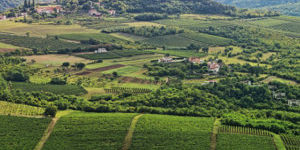 Radreise Weinregion Istrien