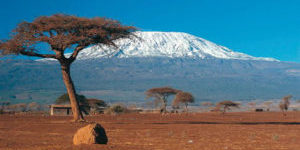 MTB & Trekking am Kilimanjaro