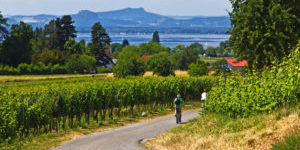 Radreise Bodensee sportiv