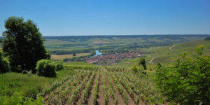 Rad & Schiff Reise Champagne