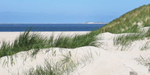 Radreise Nordholland & Insel Texel