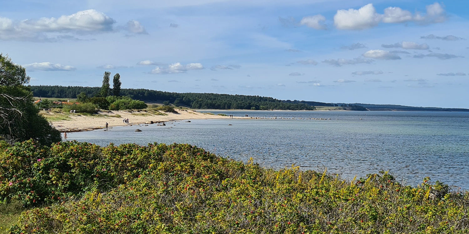 News bike-touringde - Radreisen in Skandinavien bzw. Schweden, Holland, Belgien und Frankreich